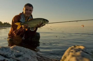 Light through the tail Light through the tail