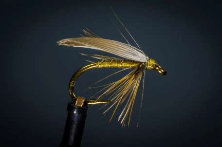 Greenwell's Glory Greenwell's Glory