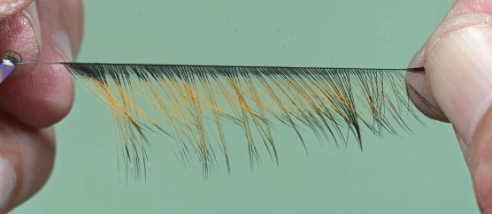 The folded feather The folded feather