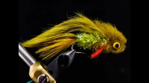 Video thumb for Smith/Linsenman's Butt Monkey