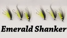 Video thumb for Emerald Shanker