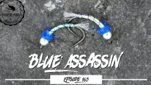 Video thumb for Blue Assassin 