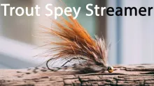 Video thumb for The One Trout Spey Fly That Started it All