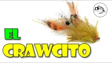 Video thumb for El Crawcito