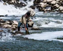 User submitted picture: Go home fish