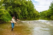 User submitted picture: Melancony