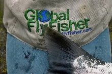 User submitted picture: The Cap