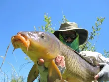 User submitted picture: Fly Fishing for Carp with...