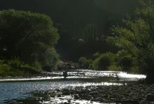 User submitted picture: Lights and shadows beside...