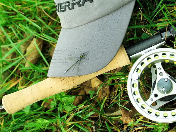 User submitted picture: When the fly catches the ...